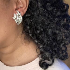 Sliver color branch coupon earring